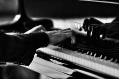 Musicis 2016